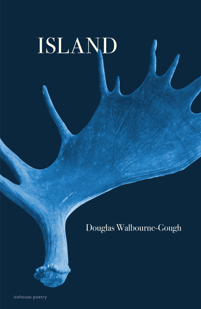 dark blue book cover featuring a large moose antler tinted medium blue
